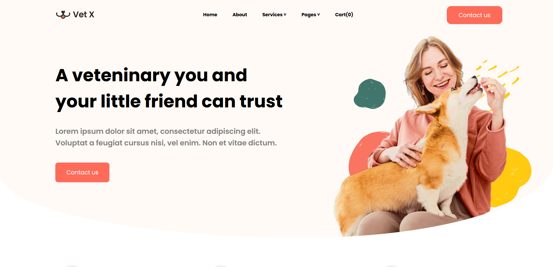 screenshot of the project