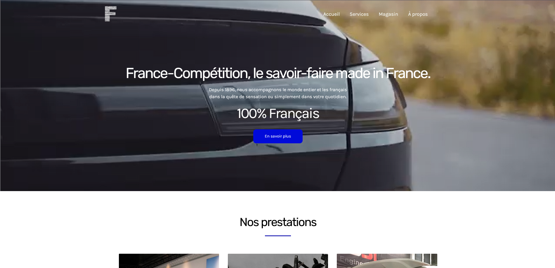 screenshot of the project